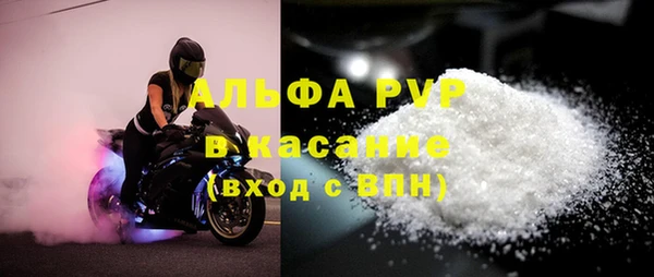 СК Алексин