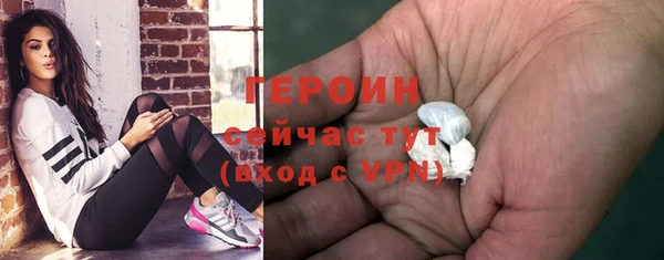 СК Алексин