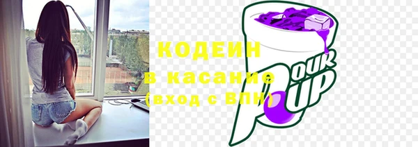 СК Алексин