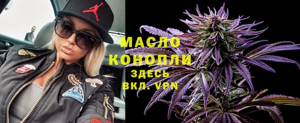 СК Алексин