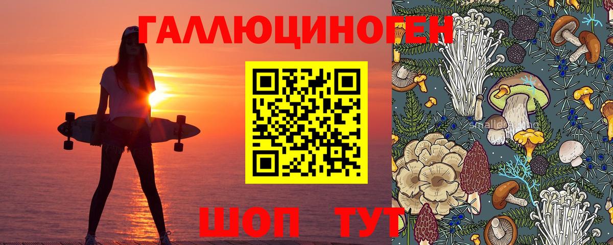 купить  цена  Галлюциногенные грибы MAGIC MUSHROOMS  Красноуфимск  Вход с VPN  Галлюциногенные грибы GOLDEN TEACHER 